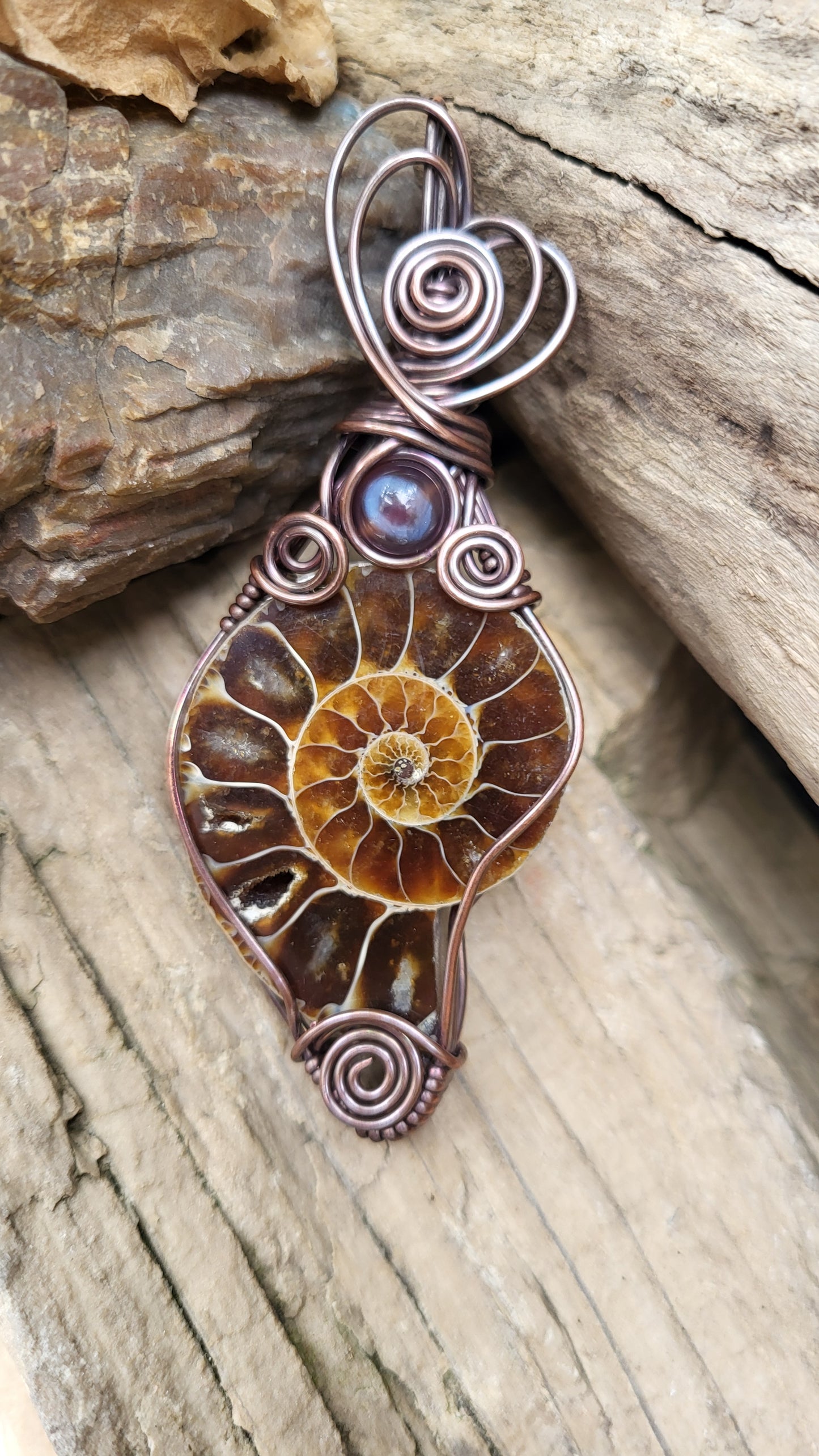 Ammonite Fossil w/ Agate Accent Copper Wire Wrap Pendant