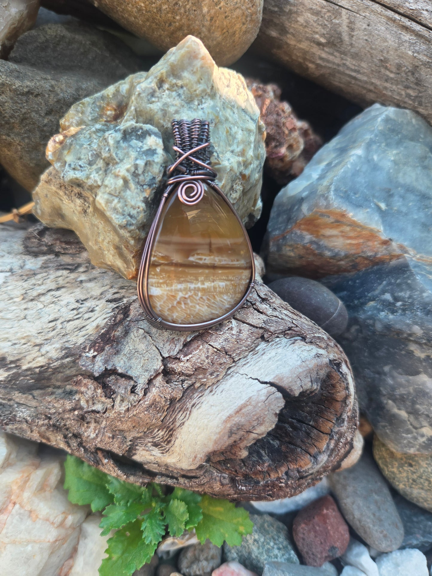Opalized Palm Wood Cabochon Pendant