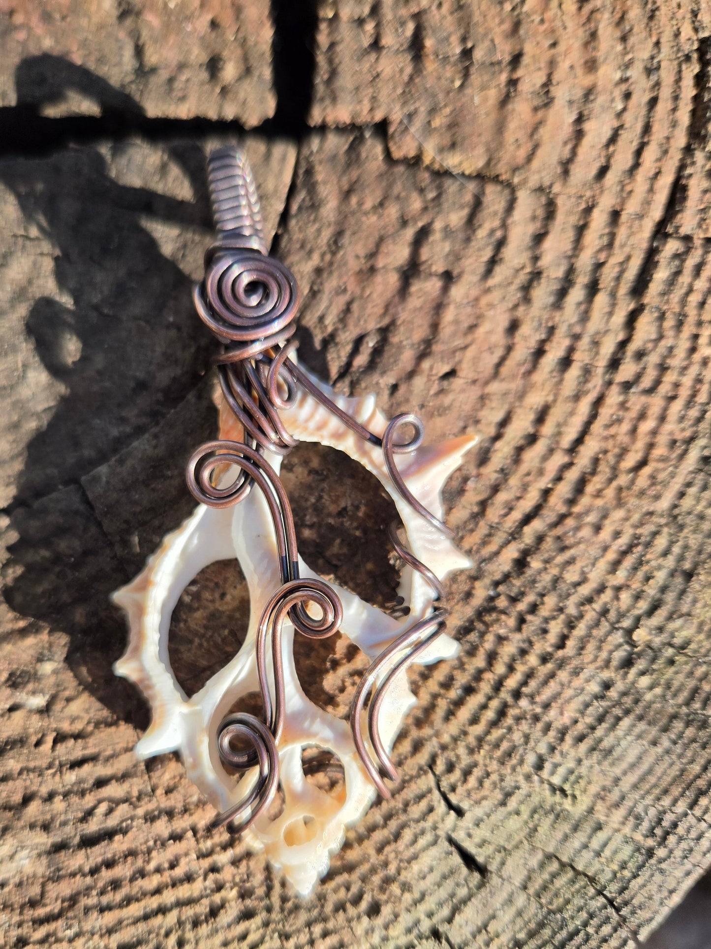 Center Cut Seashell Copper Wire Wrap Pendant