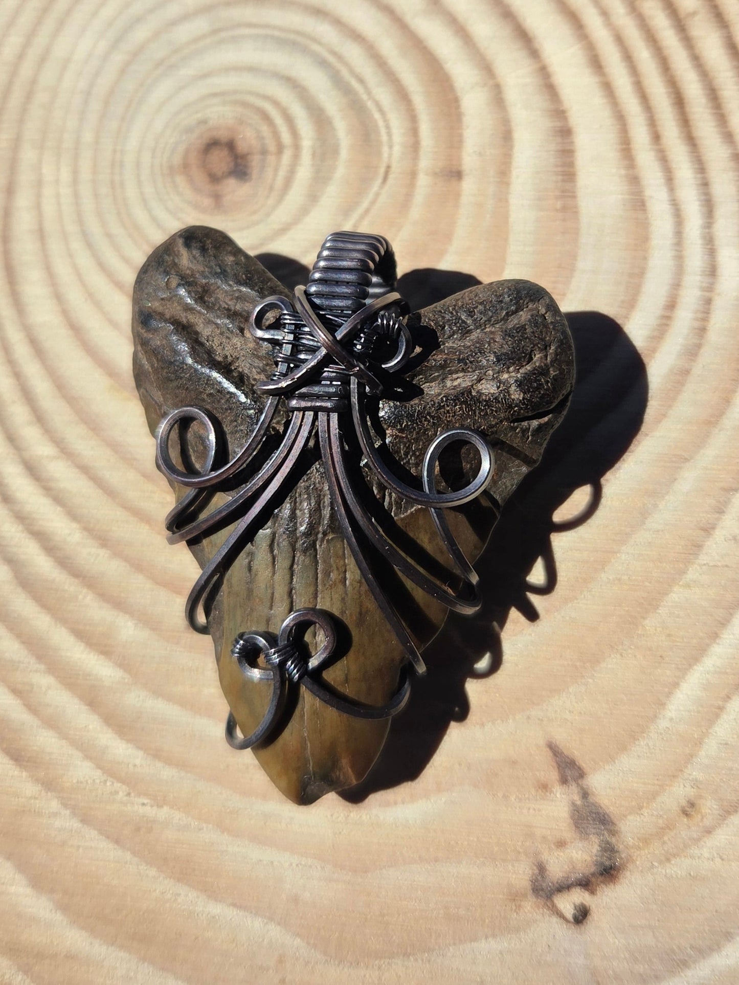Fossilized Shark Tooth Pendant