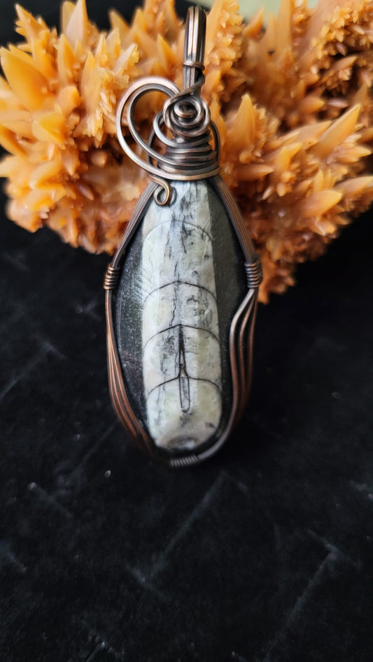 Handcrafted Oxidized Square Copper Pendant Featuring Orthoceras Fossil