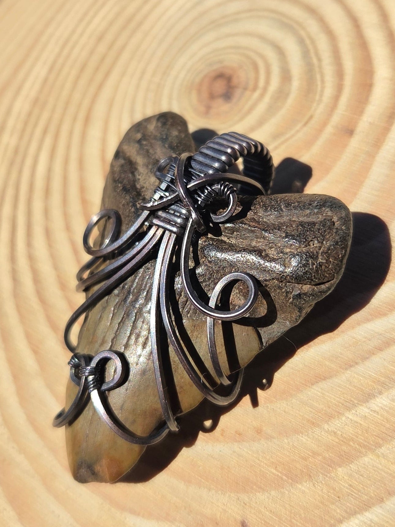 Fossilized Shark Tooth Pendant