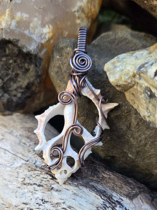 Center Cut Seashell Copper Wire Wrap Pendant