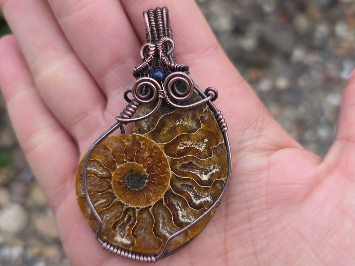 Ammonite Fossil w Lapis Lazuli Pendant