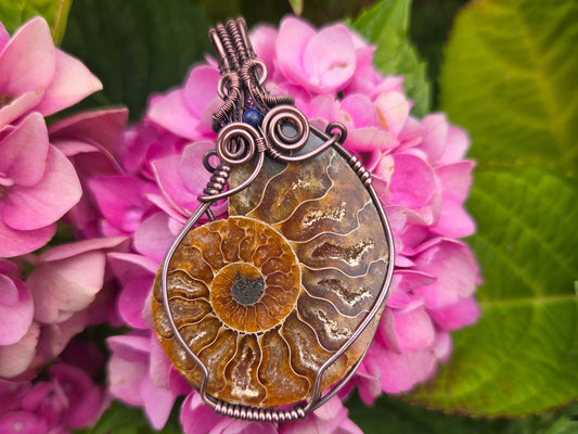 Ammonite Fossil w Lapis Lazuli Pendant