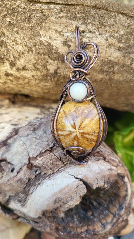 Fossilized Sand Dollar w/ Blue Glow Stone Accent Copper Wire Wrap Pendant
