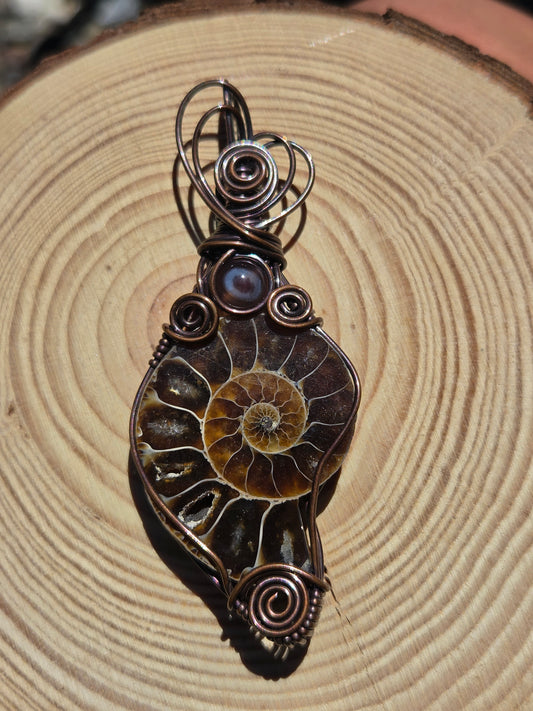 Ammonite Fossil w/ Agate Accent Copper Wire Wrap Pendant