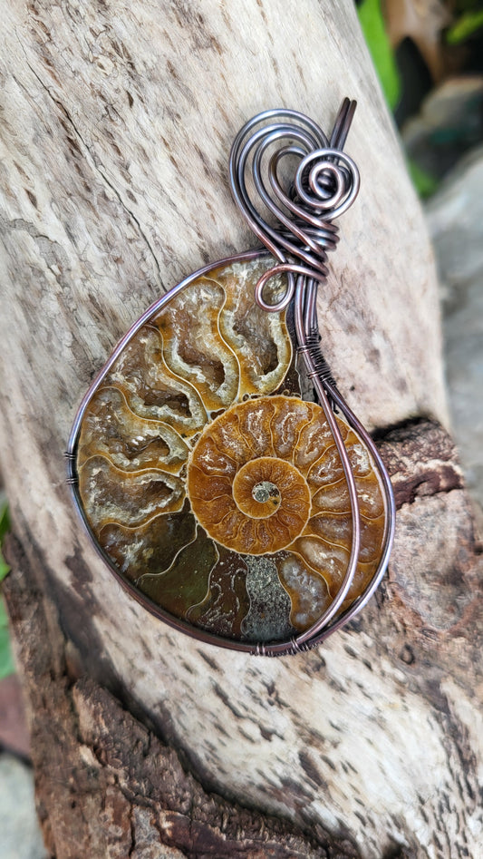 Ammonite Fossil w/ Druzy Crystals Copper Wire Wrap Pendant