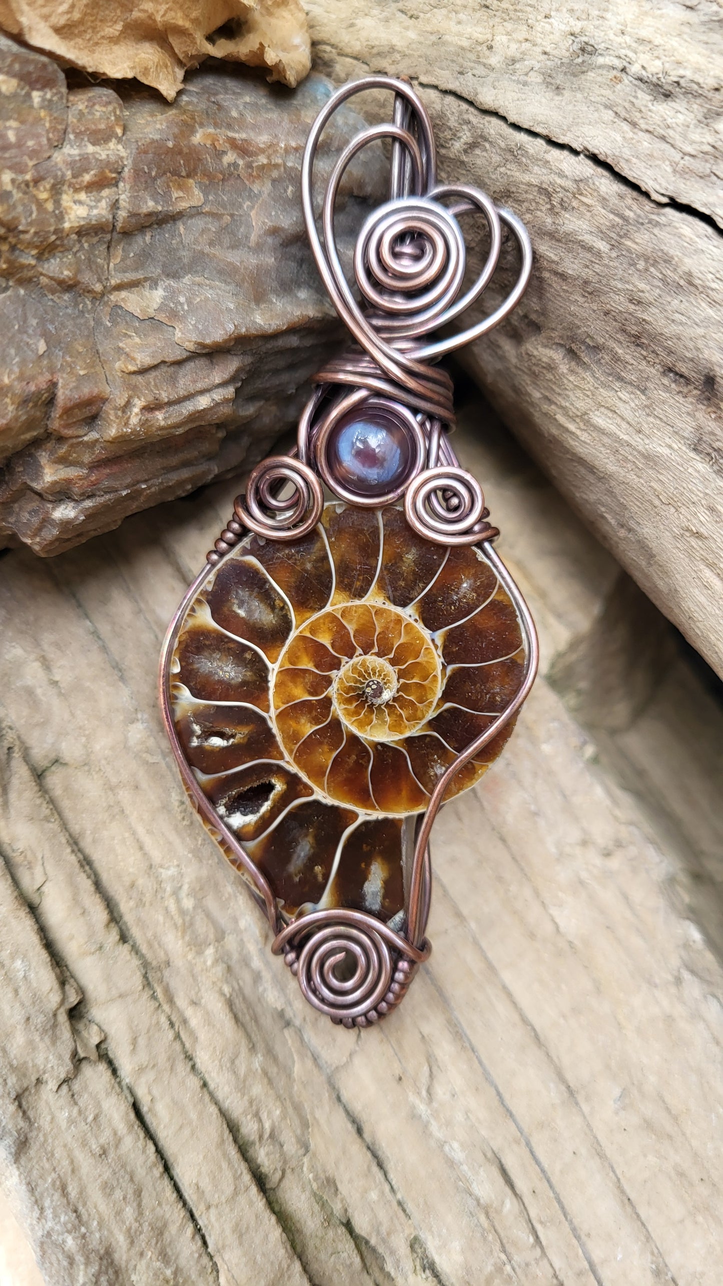 Ammonite Fossil w/ Agate Accent Copper Wire Wrap Pendant