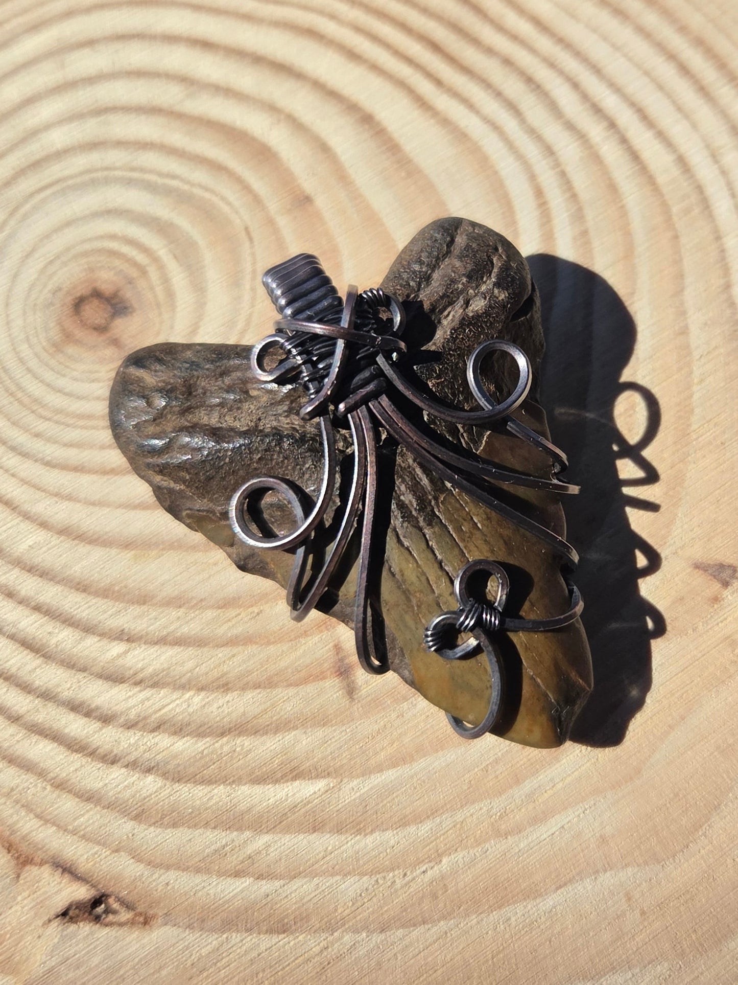 Fossilized Shark Tooth Pendant