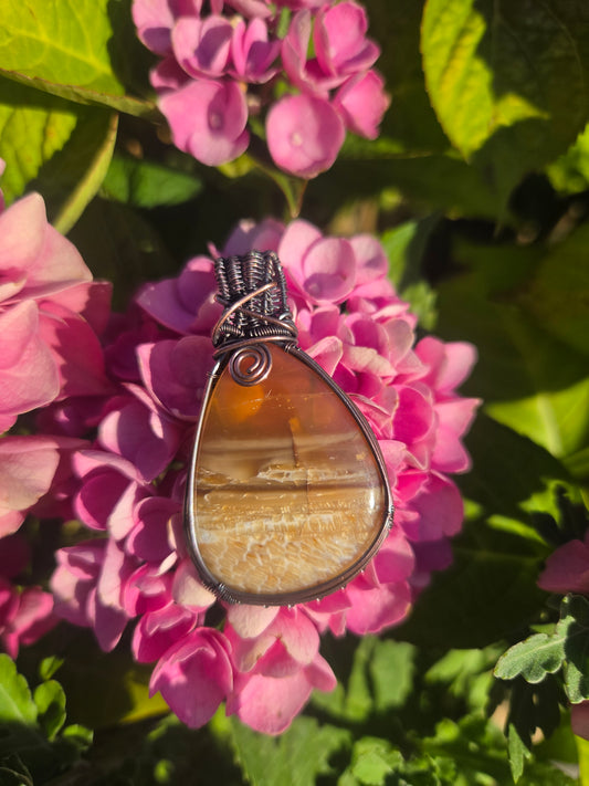 Opalized Palm Wood Cabochon Pendant