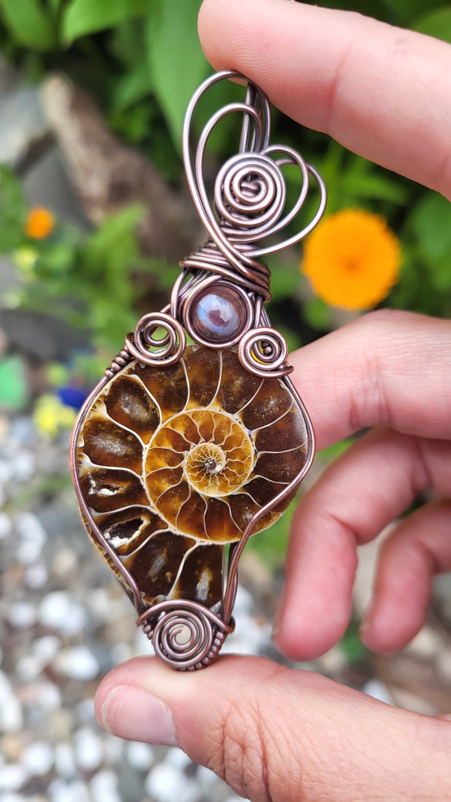 Ammonite Fossil w/ Agate Accent Copper Wire Wrap Pendant