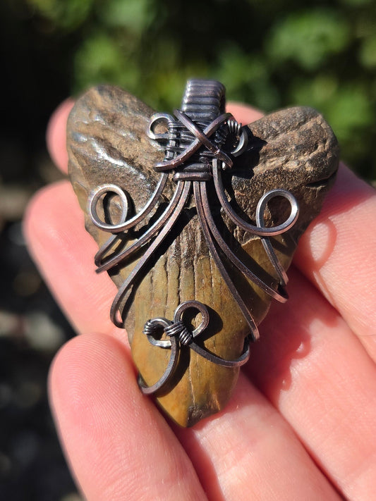 Fossilized Shark Tooth Pendant
