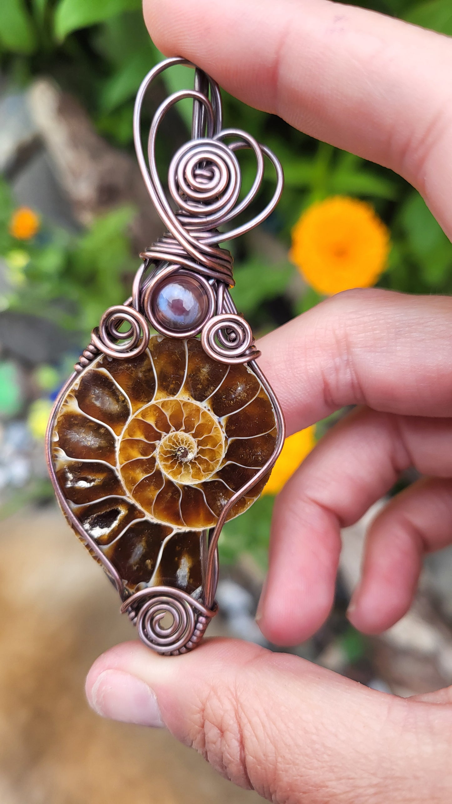 Ammonite Fossil w/ Agate Accent Copper Wire Wrap Pendant